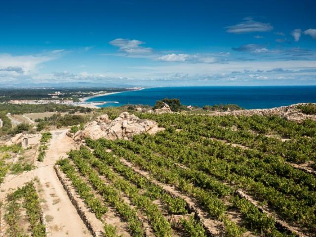 Drone à Argelès-sur-Mer : vues aériennes du territoire entre mer et montagne