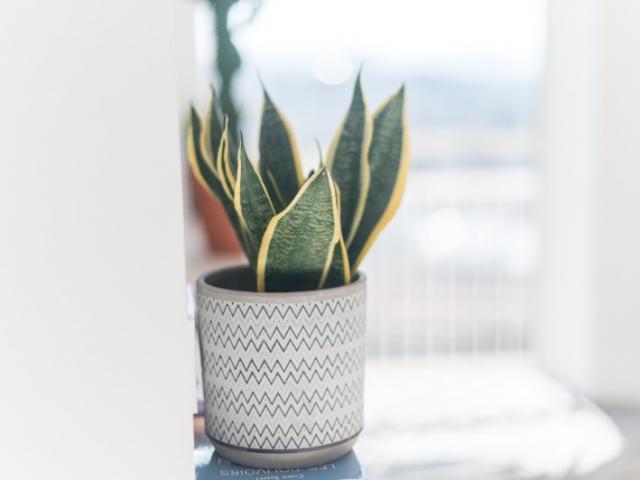 Photographe immobilier à Marseille – duplex lumineux en centre-ville