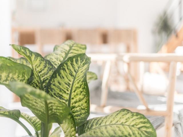 Photographe immobilier à Marseille – duplex lumineux en centre-ville